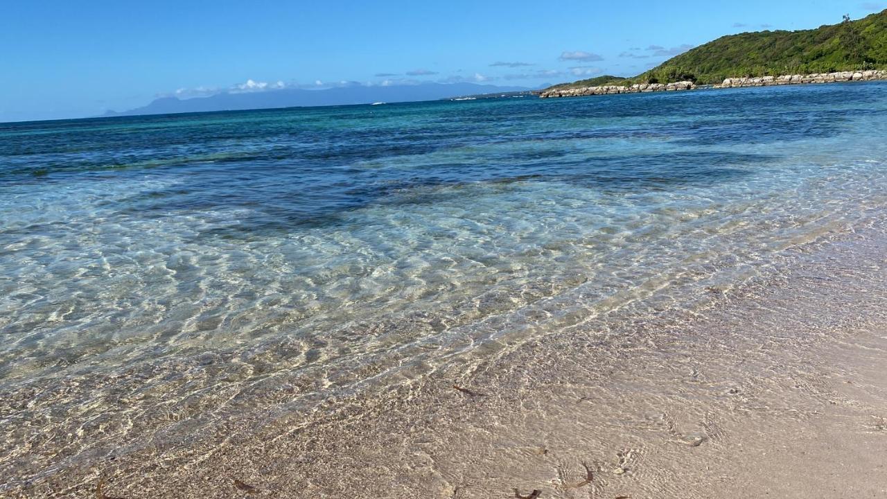 Le Kalinao, Anse Des Rochers Plage, Piscine Et Cocotiers Saint-Francois (Grande-Terre) Exterior foto