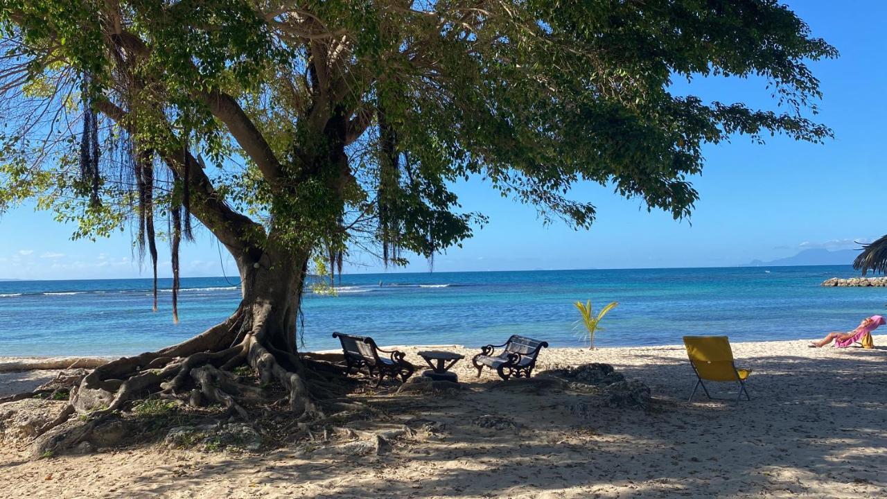 Le Kalinao, Anse Des Rochers Plage, Piscine Et Cocotiers Saint-Francois (Grande-Terre) Exterior foto