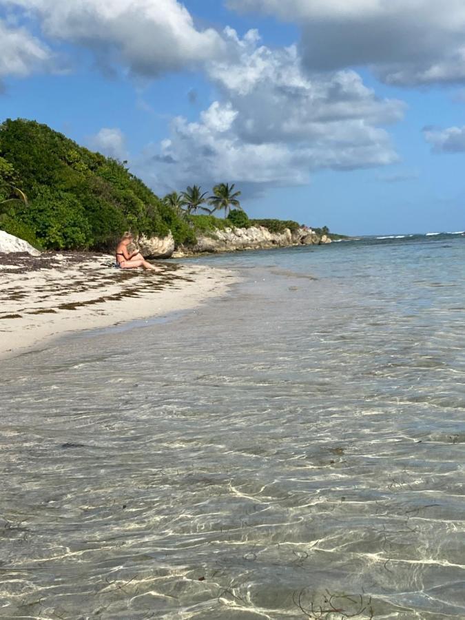 Le Kalinao, Anse Des Rochers Plage, Piscine Et Cocotiers Saint-Francois (Grande-Terre) Exterior foto