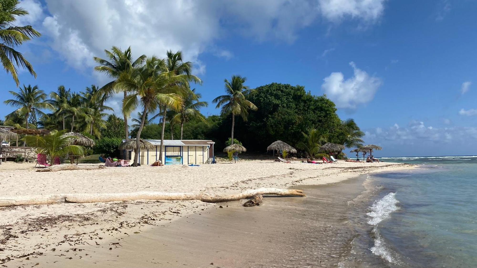 Le Kalinao, Anse Des Rochers Plage, Piscine Et Cocotiers Saint-Francois (Grande-Terre) Exterior foto