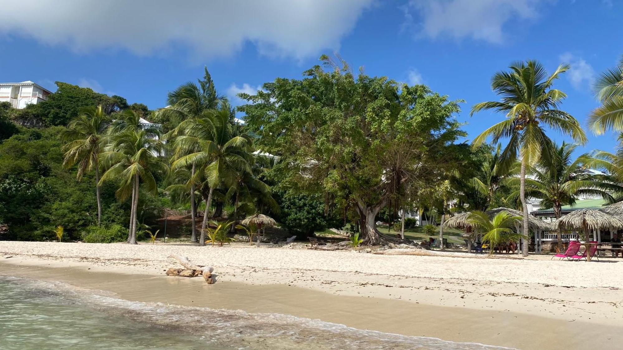 Le Kalinao, Anse Des Rochers Plage, Piscine Et Cocotiers Saint-Francois (Grande-Terre) Exterior foto