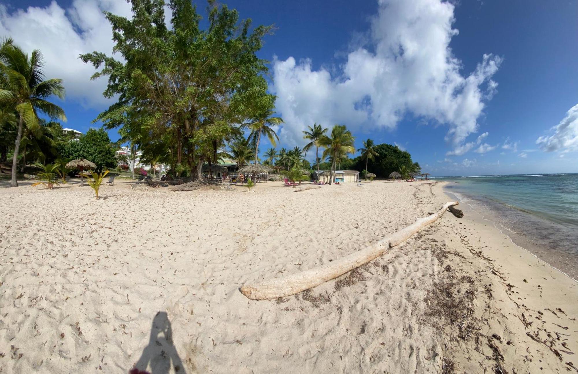 Le Kalinao, Anse Des Rochers Plage, Piscine Et Cocotiers Saint-Francois (Grande-Terre) Exterior foto